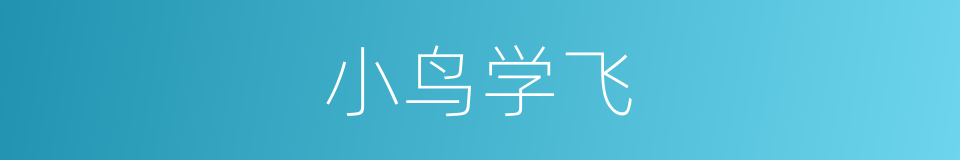 小鸟学飞的同义词
