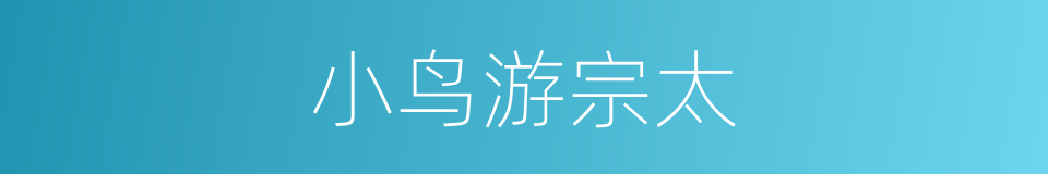 小鸟游宗太的同义词
