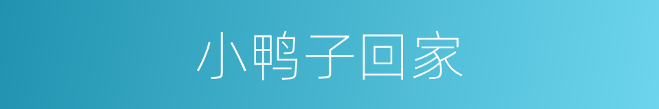 小鸭子回家的同义词