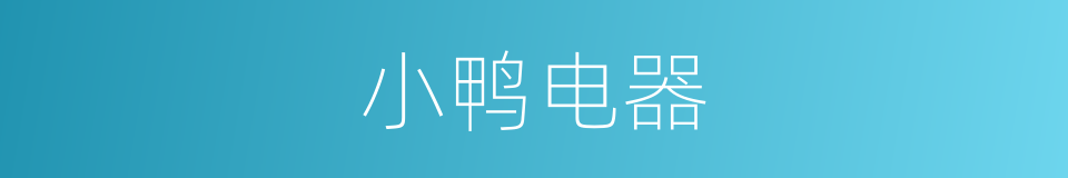 小鸭电器的同义词
