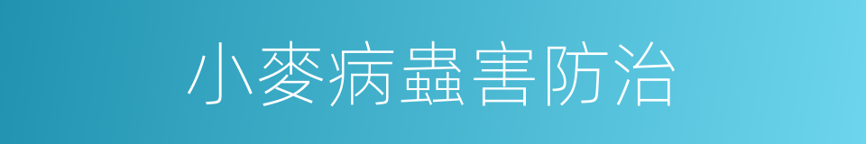 小麥病蟲害防治的同義詞