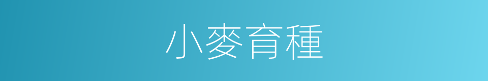 小麥育種的同義詞