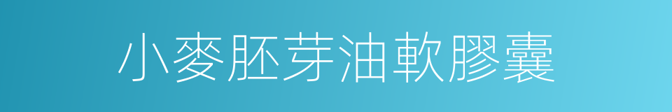 小麥胚芽油軟膠囊的同義詞