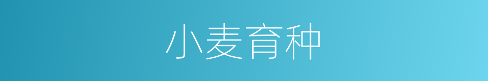 小麦育种的同义词