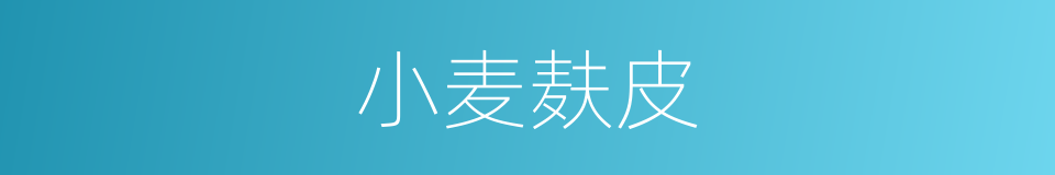 小麦麸皮的同义词