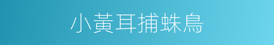 小黃耳捕蛛鳥的同義詞
