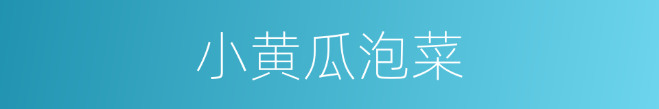 小黄瓜泡菜的同义词