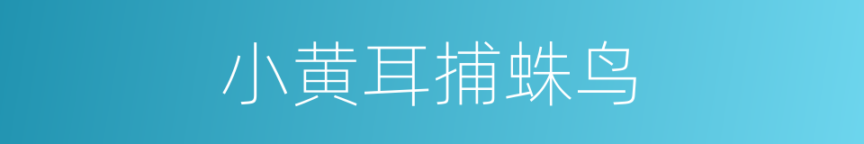 小黄耳捕蛛鸟的同义词