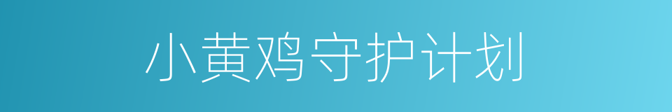 小黄鸡守护计划的同义词