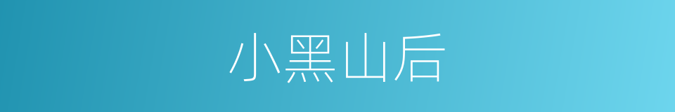 小黑山后的同义词