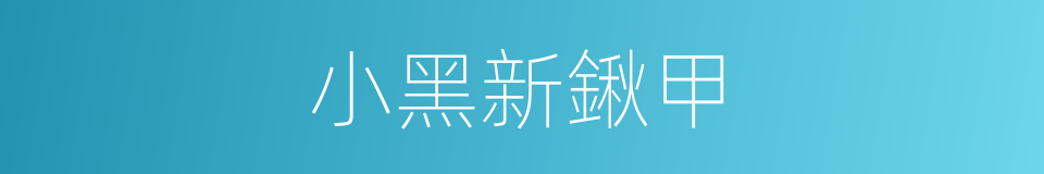 小黑新鍬甲的同義詞