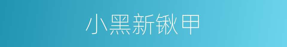 小黑新锹甲的同义词