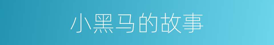 小黑马的故事的同义词