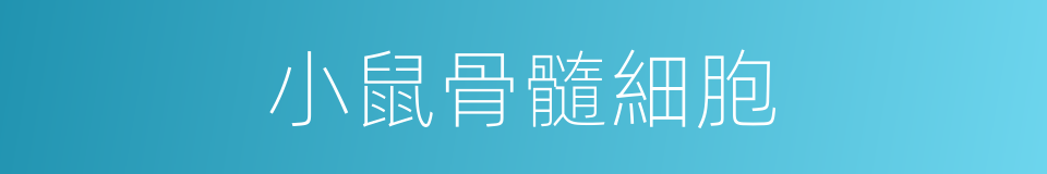小鼠骨髓細胞的同義詞