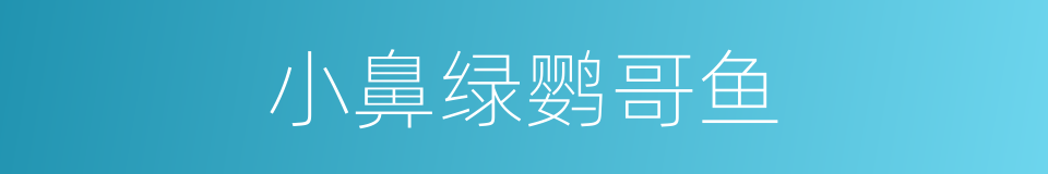 小鼻绿鹦哥鱼的同义词