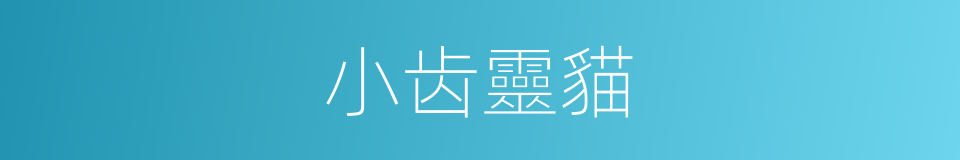 小齿靈貓的同義詞