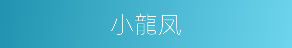 小龍凤的同義詞