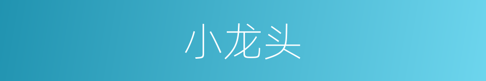小龙头的同义词