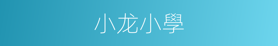 小龙小學的同義詞