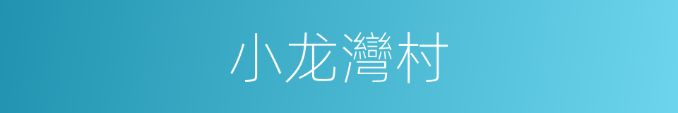 小龙灣村的同義詞