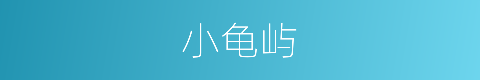 小龟屿的同义词