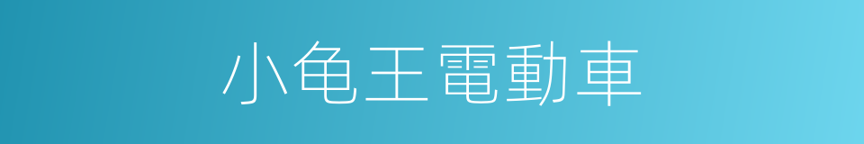 小龟王電動車的同義詞