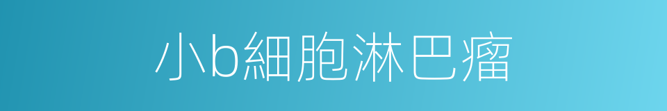 小b細胞淋巴瘤的同義詞