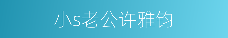 小s老公许雅钧的同义词