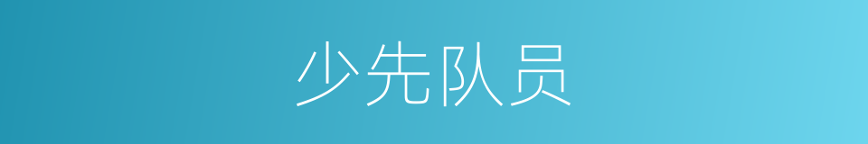 少先队员的意思