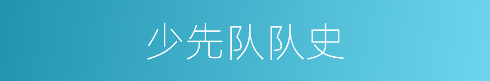 少先队队史的同义词