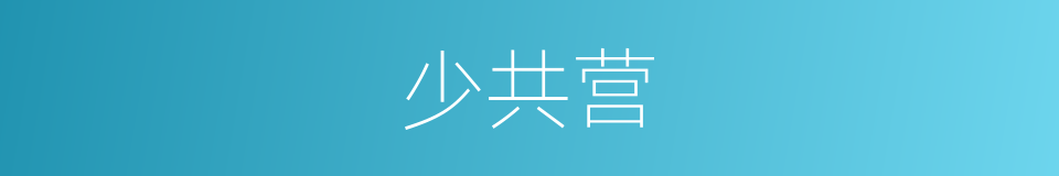 少共营的同义词