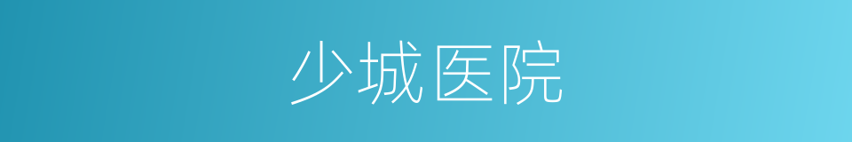 少城医院的同义词