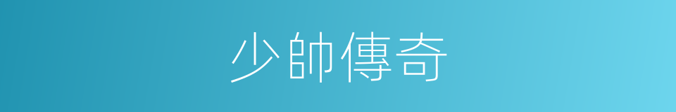 少帥傳奇的同義詞