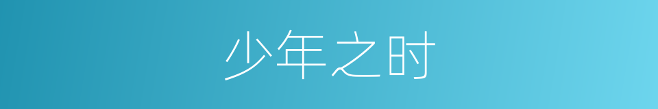 少年之时的同义词
