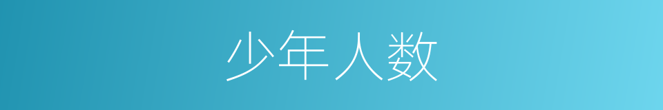 少年人数的同义词