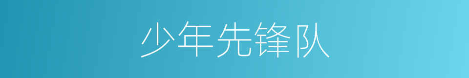 少年先锋队的意思