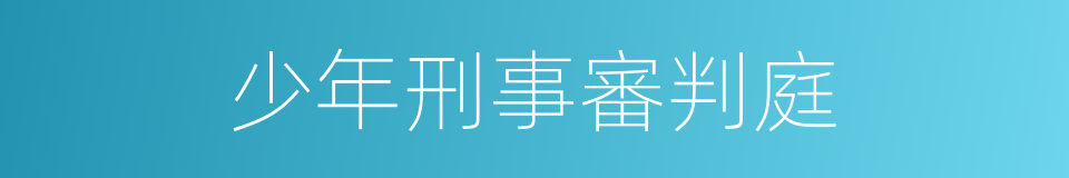 少年刑事審判庭的同義詞