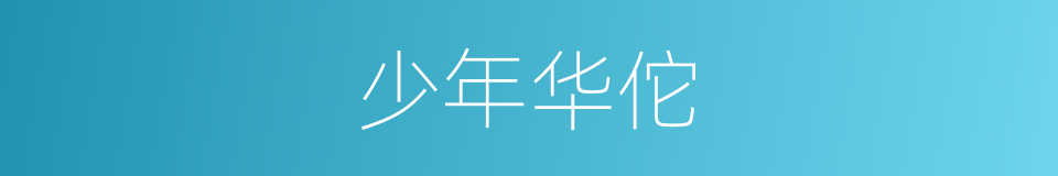 少年华佗的同义词