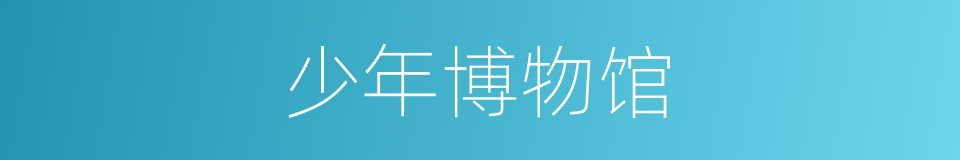 少年博物馆的同义词