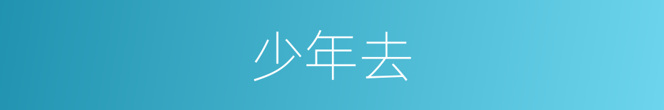 少年去的同义词