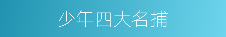 少年四大名捕的同义词