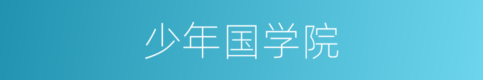 少年国学院的同义词