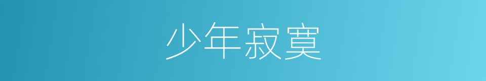 少年寂寞的同义词