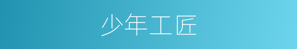 少年工匠的同义词