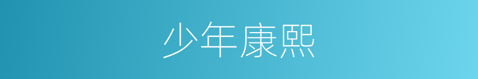 少年康熙的同义词