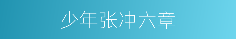 少年张冲六章的同义词