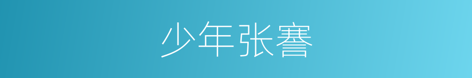少年张謇的同义词