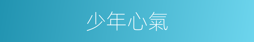 少年心氣的同義詞