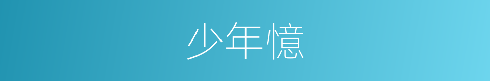 少年憶的同義詞