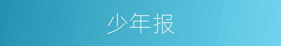 少年报的同义词